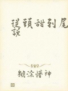 从头甜到尾的小说