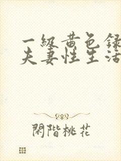 一级黄色录像片夫妻性生活