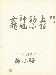 女神的上门豪婿赵旭小说