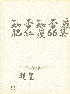 知否知否应是绿肥红瘦66集