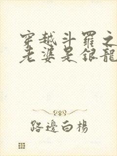 穿越斗罗之我的老婆是银龙王