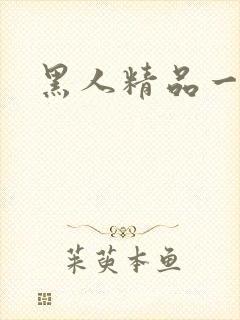 黑人精品一区二