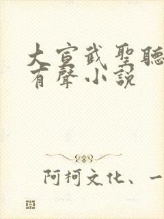 大宣武圣听书网有声小说