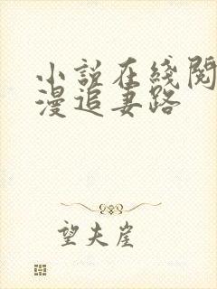 小说在线阅读漫漫追妻路