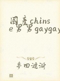 国产chinse男男gaygay网站