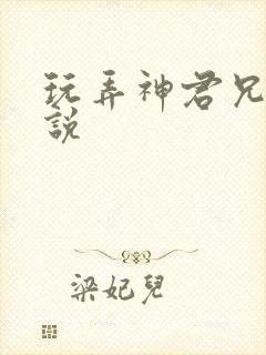 玩弄神君兄长小说封面