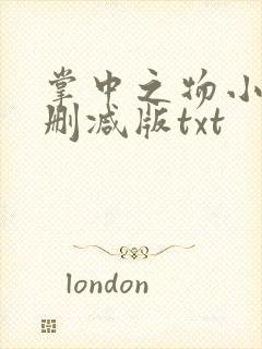 掌中之物小说未删减版txt