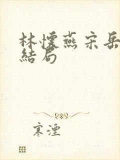 林怀燕宋岳泽大结局封面