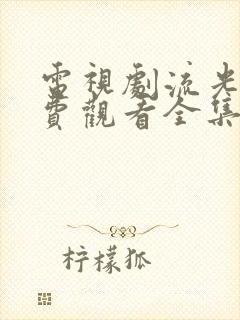 电视剧流光引免费观看全集完整版