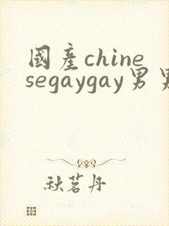 国产chinesegaygay男男