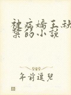 被病娇王秋儿囚禁的小说