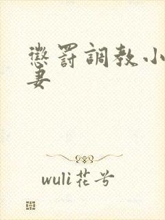 惩罚调教小说夫妻