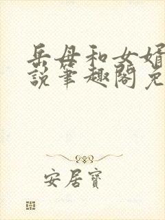 岳母和女婿的小说笔趣阁免费阅读全文封面