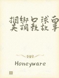 捆绑口球白丝乳夹调教故事封面