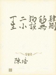 丁二狗的肆意人生小说无删减全文阅读