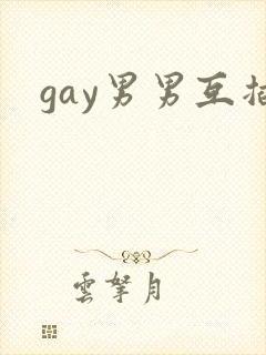 gay男男互插