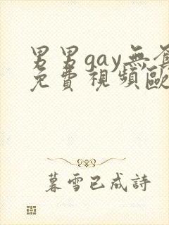 男男gay无套免费视频欧美
