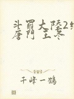 斗罗大陆2绝世唐门 王冬封面