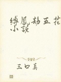 缚凤劫五花大绑小说封面