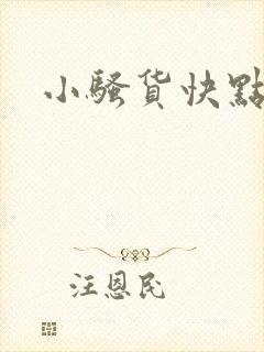 小骚货快点小说