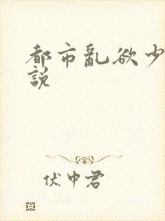 都市乱欲少妇小说