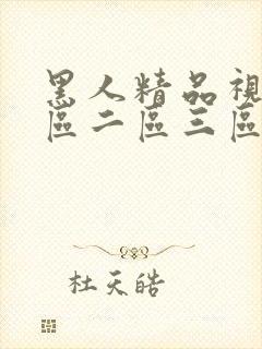 黑人精品视频一区二区三区