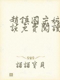 赵镇国宋婉清小说免费阅读全文最新章节