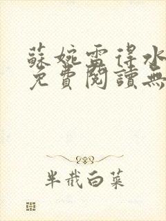 苏婉雷得水小说免费阅读无弹窗笔趣阁封面