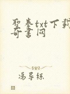 圣拳txt下载奇书网封面