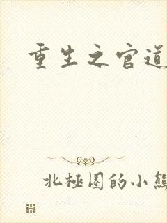 重生之官道小说