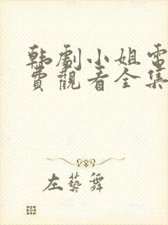 韩剧小姐电影免费观看全集高清