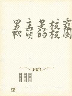 男主是校霸女主软萌的校园甜宠小说封面