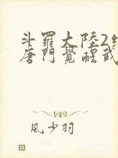 斗罗大陆2绝世唐门觉醒武魂