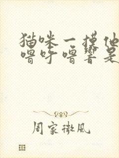 猫咪一摸他就呼噜呼噜响是怎么回事