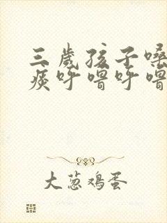 三岁孩子嗓子有痰呼噜呼噜的怎么办