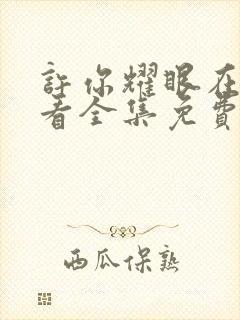 许你耀眼在线观看全集免费播放