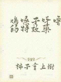 鸡嗓子呼噜呼噜的特效药封面