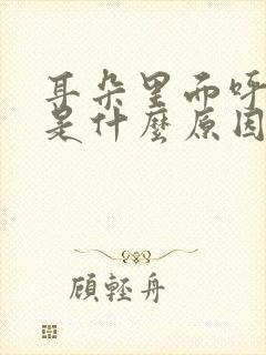 耳朵里面呼呼响是什么原因造成的