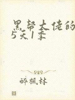 黑帮大佬的365天1季