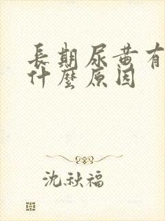 长期尿黄有沫是什么原因