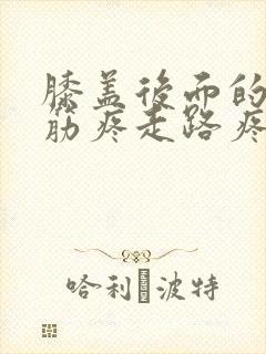 膝盖后面的腿窝筋疼走路疼封面