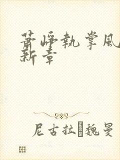 萧峥执掌风云最新章