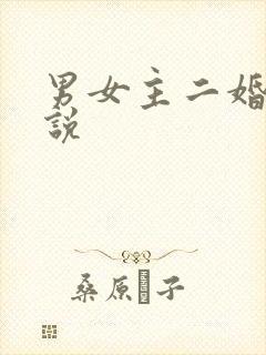 男女主二婚的小说