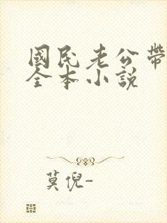 国民老公带回家全本小说