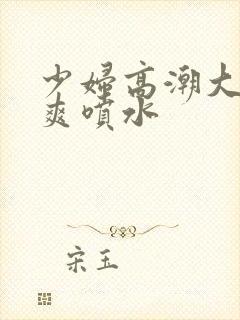 少妇高潮大叫好爽喷水