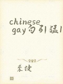 chinese gay勾引猛1videos