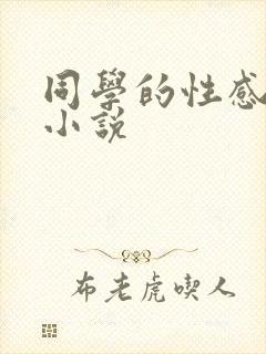 同学的性感妈妈小说封面