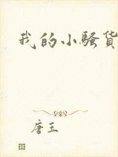 我的小骚货