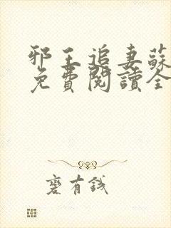 邪王追妻苏小暖免费阅读全文封面