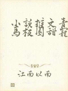 小说推文青梅竹马校园甜宠文完结视频封面